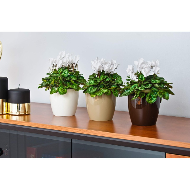 Tymar Pack of 2 Round Shape Planter (Orange, Diameter 18