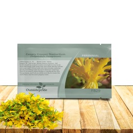 Outsidepride Yellow Canary Creeper Nasturtium Seeds - 100 Pcs Perennial, Easy to Grow & Versatile, Flower Seeds for Planting Vibrant Blooms, Ideal for Gardens, Borders, and Pollinator Gardens