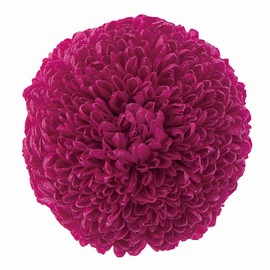 Earth Farms Preserved pinponmamu・midyi- (9 Wheel) Vessel Sink to stay, do02646 Bags – 330