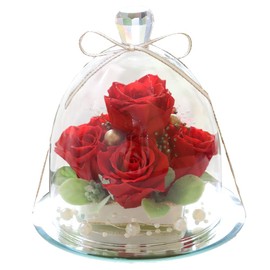 Preserved Flower IPFA Glass Dome Elegance Premium Wedding Gift Birthday Present Retirement Flower Gift Rose (Red Luxury)