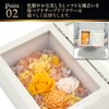 (Nanairokan) Preserved Flower Photo Frame, Retirement Gift, Wedding Gift, Flower,