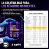 Creatina Monohidratada Micronizada 200 Mesh Suplemento Deportivo Polvo 500 100