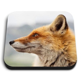1 x Square MDF Fridge Magnet - Red Wildfox Nature Wildlife 2763
