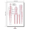 XIEHAIGE 4 Pcs Humanoid Clothing Measuring French Curve Pattern Grading