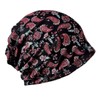 Rex Standard CH092 Knit Hat, Paisley Pattern, 2-Way Neck Warmer,