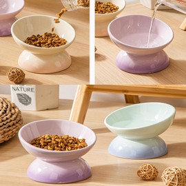 Busnos Ceramic Raised Cat Bowls for Indoor Cats 6.1 Inch Wide Cute Elevated Cat Food Bowls 15° Tilted Whisker Friendly Purple Cat Water Bowl Dishwasher and Microwave Safe Puppy Feeding Set Supplies