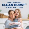 Arm & Hammer Clean Burst 170 Loads Liquid Laundry Detergent