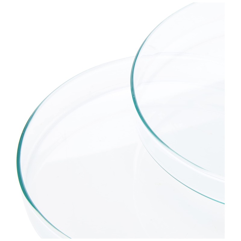 KING SCIENTIFIC 7H-2HV7-WX16 200MM GLASS PETRI DISH