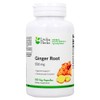 LuckyHerbs - Ginger Root Digestive Support 550 mg. - 100
