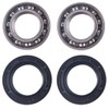 East Lake Axle replacement for rear axle carrier bearing and