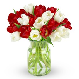 Benchmark Bouquets, 20 Stem Red/White Tulips, Glass Vase Included, Gift Fresh Flowers for Christmas, Holiday, Birthday, Anniversary, Sympathy, Congratulations, Thank You