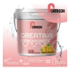 Creatina Monohidratada Flamish 3kg 600 Servicios Sabores
