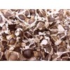 Natures Root Moringa Oleifera Seeds 500 Seeds – Non-GMO Edible