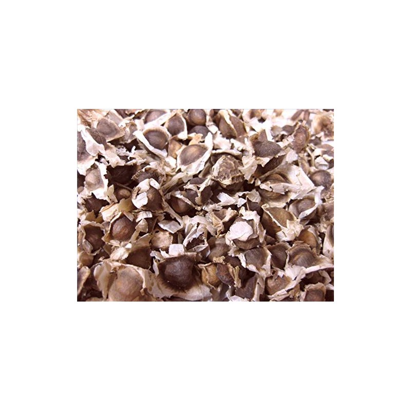Natures Root Moringa Oleifera Seeds 500 Seeds – Non-GMO Edible