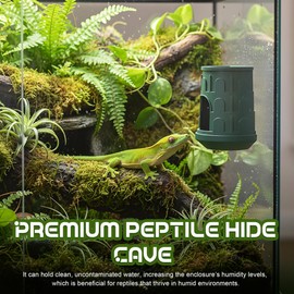 Fischuel Wall Mount Reptile Hide Cave with Food Bowl for Terrarium Habitat Setup, Cute Hide with Treats Bowl, Essential and Safe Hideout for Gecko, Spider, Lizard, Hamster, Crab