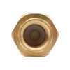 HYDRO MASTER Brass Dual Check Valve, 1/2" FNPT, Solid Brass,