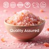LA SALT CO Kashmir 2.5 Lbs Pink Himalayan Salt Jar,
