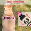 PUPTECK No Pull Dog Harness Soft Adjustable Basic Nylon Step