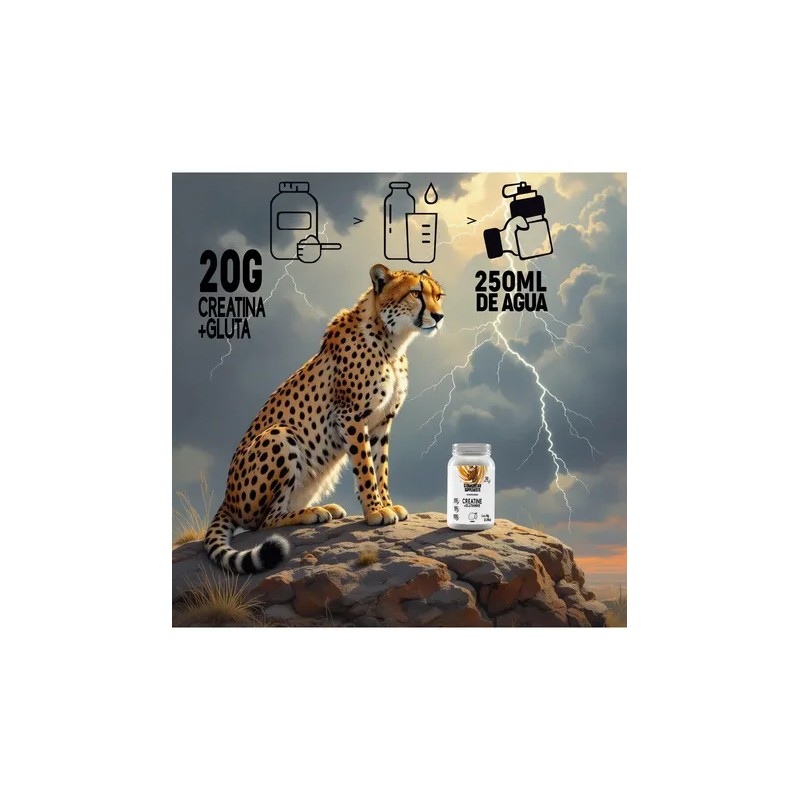 Stormcheetah Suplemento Creatina + Glutamina 1 Kg Sabores
