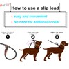 Mycicy Durable Rope Slip Lead Dog Leash, 1/2" and 1/4"