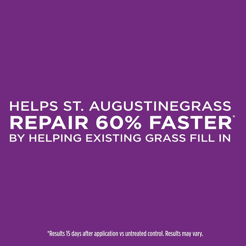 Scotts EZ Patch Lawn Repair For St. Augustine Lawns, Ready-to-use