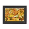 FUJICOLOR 306785 Aluminum Frame A33 A4 Black