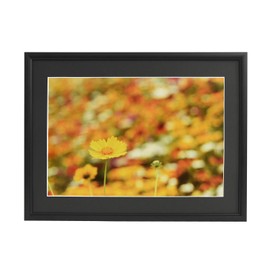 FUJICOLOR 306785 Aluminum Frame A33 A4 Black