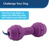 PetSafe Busy Buddy Chuckle, Interactive Treat Dispensing Dog Toy, Chew