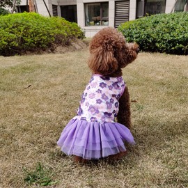 QingLuo Pet Princess Bow Lace Skirt Dress Cute Doggie Dress for Dog Cat (S, Purple)