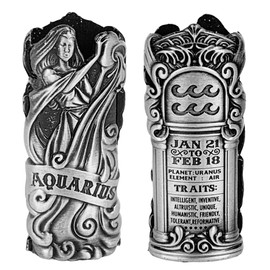 JSSELLER Metal Lighter Case Fits BIC, It Covers Standard Full Size Bic in J6. Zodiac Astrology Lighter Case, Design in Aquarius. One Piece Per Order