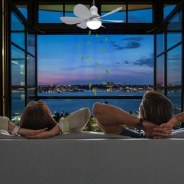 SCOOYEEES USB Powered Ceiling Fan Light with Remote, Small Plug in Ceiling Fan Mini Hanging Fan with Light for Camping Cruising RV Tent Canopy Room Bed Indoor