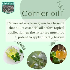 Devprayag Pure Camellia Oil (Camellia kissi) Natural Therapeutic Grade Cold Pressed 200ml (6.76 oz)