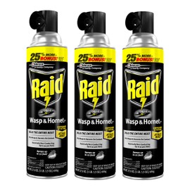 Raid Wasp and Hornet Killer, 17.5 OZ (Pack - 3)