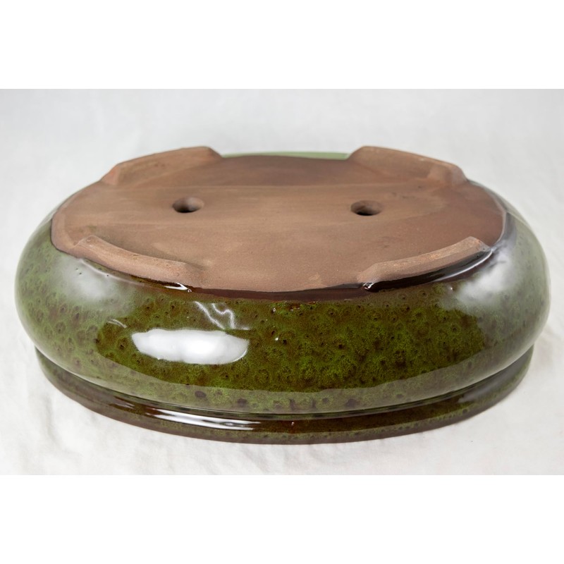Yubonzai Oval Glazed Bonsai Pot, Cactus & Succulent Planter +