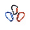 Carabiner, New Version Locking Carabiner, 61.3 lbs (23 - 45