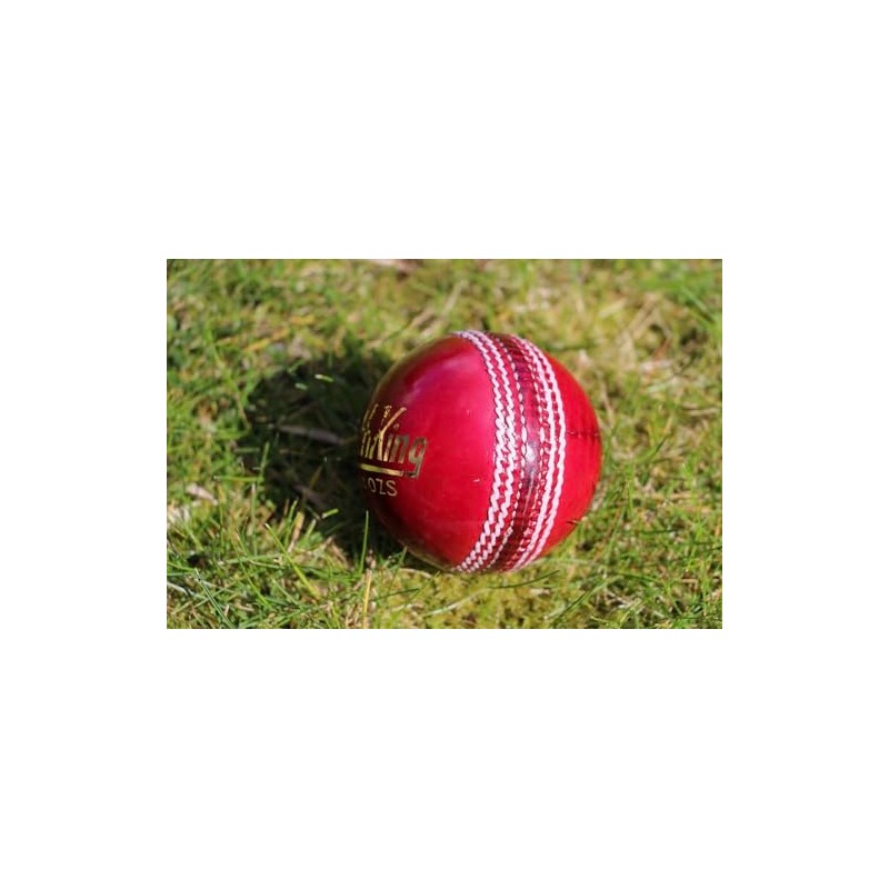 Cricket Balls 6 pack - Red Leather Match Quality (Youth/Junior/School)