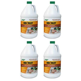 American Hydro Systems 2662 Rid O' Rust Liquid Rust Stain Remover, 1 Gallon, 4 Pack