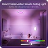 GOEBLESON Rechargeable Motion Sensor Ceiling Light with Remote, RGBW LED