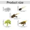 Bojueshaw 5pcs Frog Life Cycle Set,Ranidae Growth Cycle Model,Educational Science