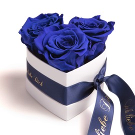 Rosemarie Schulz Heidelberg Infinity Rose Box in Heart Shape with Preserved Roses in Red Valentine's Day Gift