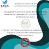 Hongo Reishi Orgánico Puro Con 120 Cápsulas Saisa Herbal