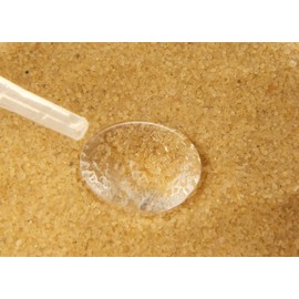 MediCat Cat Litter | 1 x 300g | Urine Recovery | Suitable for All Animals Where Urine Samples Are Needed | Stress Free Method for Collecting Urine Samples