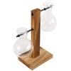 Wood and Glass Plant Propagation Stand for Indoor Cuttings –