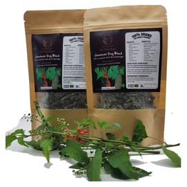Jamaican Dog Blood Organic Tea (Rivina Humilis) – 4oz (2 x 2oz) – 100% Natural Dried Herbal Leaves – Organic Traditional Jamaican Bush Tea for Adults 18+ – Inspired Gems
