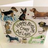 Alex Clark Crazy Dog Lady Birthday Foil Card