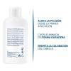 Ducray Kelual Ds Shampoo Cuidado Caspa 100ml