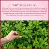 Orange Ginger Mint Herbal Tea 100gm, Natural Herbal Infusion, 50
