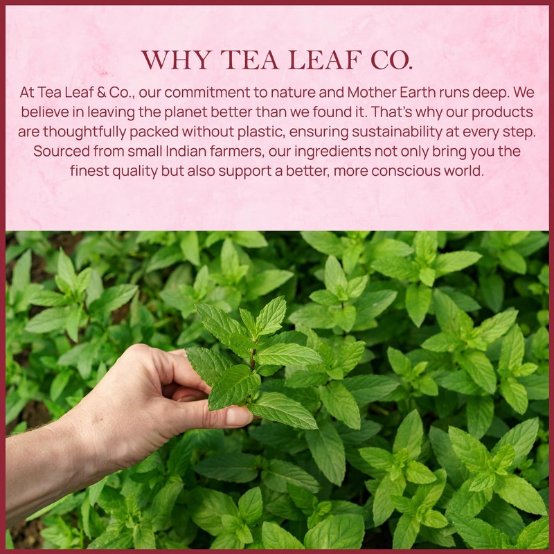 Orange Ginger Mint Herbal Tea 100gm, Natural Herbal Infusion, 50