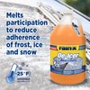Rain-X -25°F Heavy Duty De-Icer Windshield Washer Fluid - 1