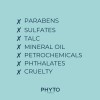 Champú Anticaspa Phyto Scalp Solutions - Tratamiento Capilar